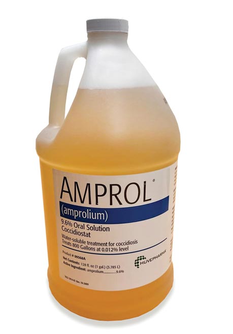 AMPROL 9.6% ORAL SOLUTION