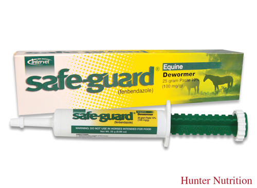 Tube of Safe-guard Equine Dewormer paste