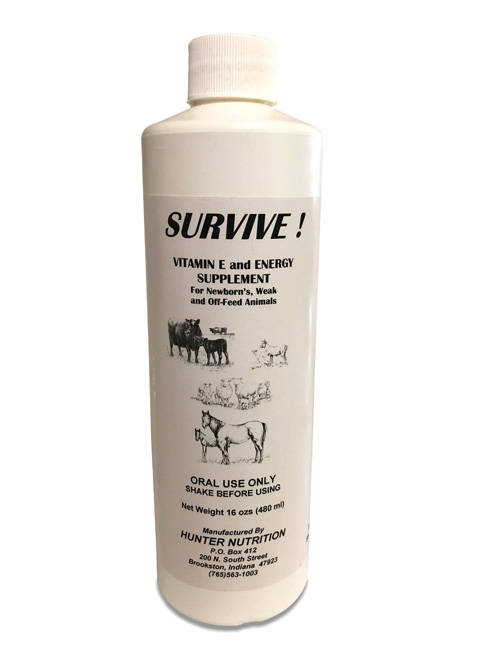 Bottle of Survive! for Calves