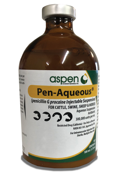 PENICILLIN INJECTABLE Combi-Pen - 48