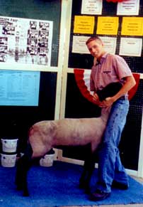 2002 Hunter Fed Lamb