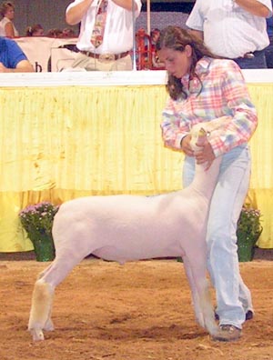 2005 Ohio State Fair Winner